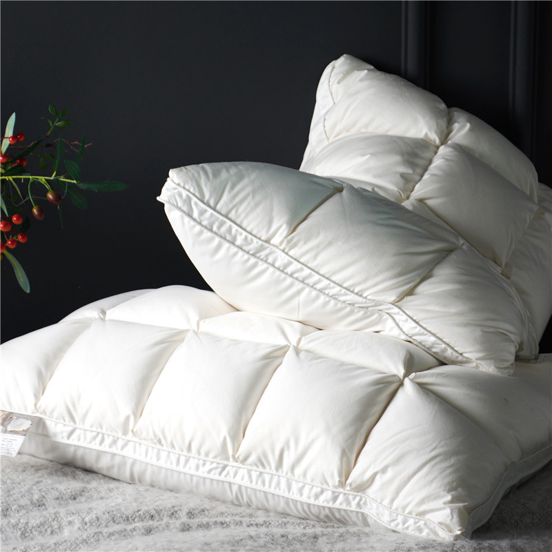 Home Textiles Premium - รวม2Pcs 20X30 